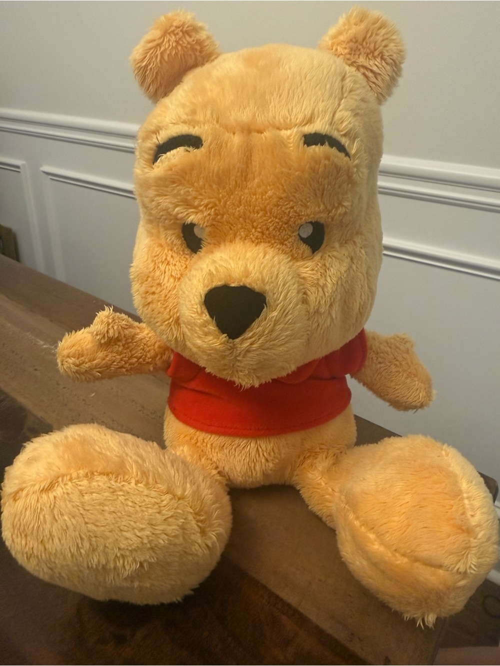 Disney Parks Winnie the Pooh Big Feet Plush 14" Theme Park Authentic Red Shirt